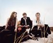 Lady Antebellum sind alte Grammy-Hasen