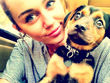 Miley Cyrus hat jetzt ein Nasenpiercing
