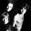Zusammen mit Jim Morrison gründete er die Band 1965 
