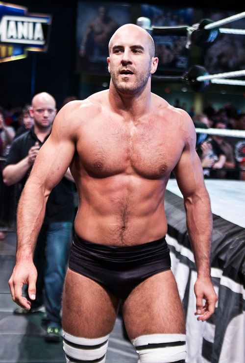 http://content3.promiflash.de/article-images/w500/antonio-cesaro-mit-nacktem-oberkoerper.jpg