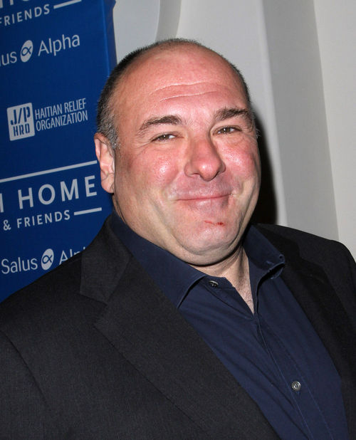 James Gandolfini starb am Mittwoch in Rom