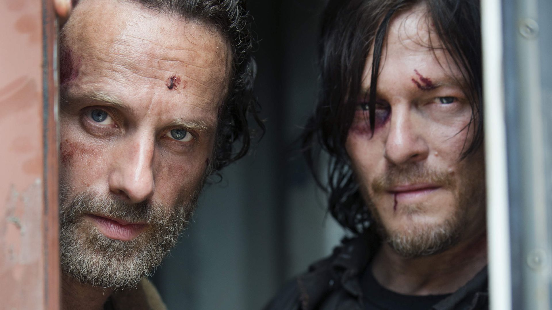 Andrew Lincolns Walking Dead Aus Norman Reedus Traurig Promiflash de