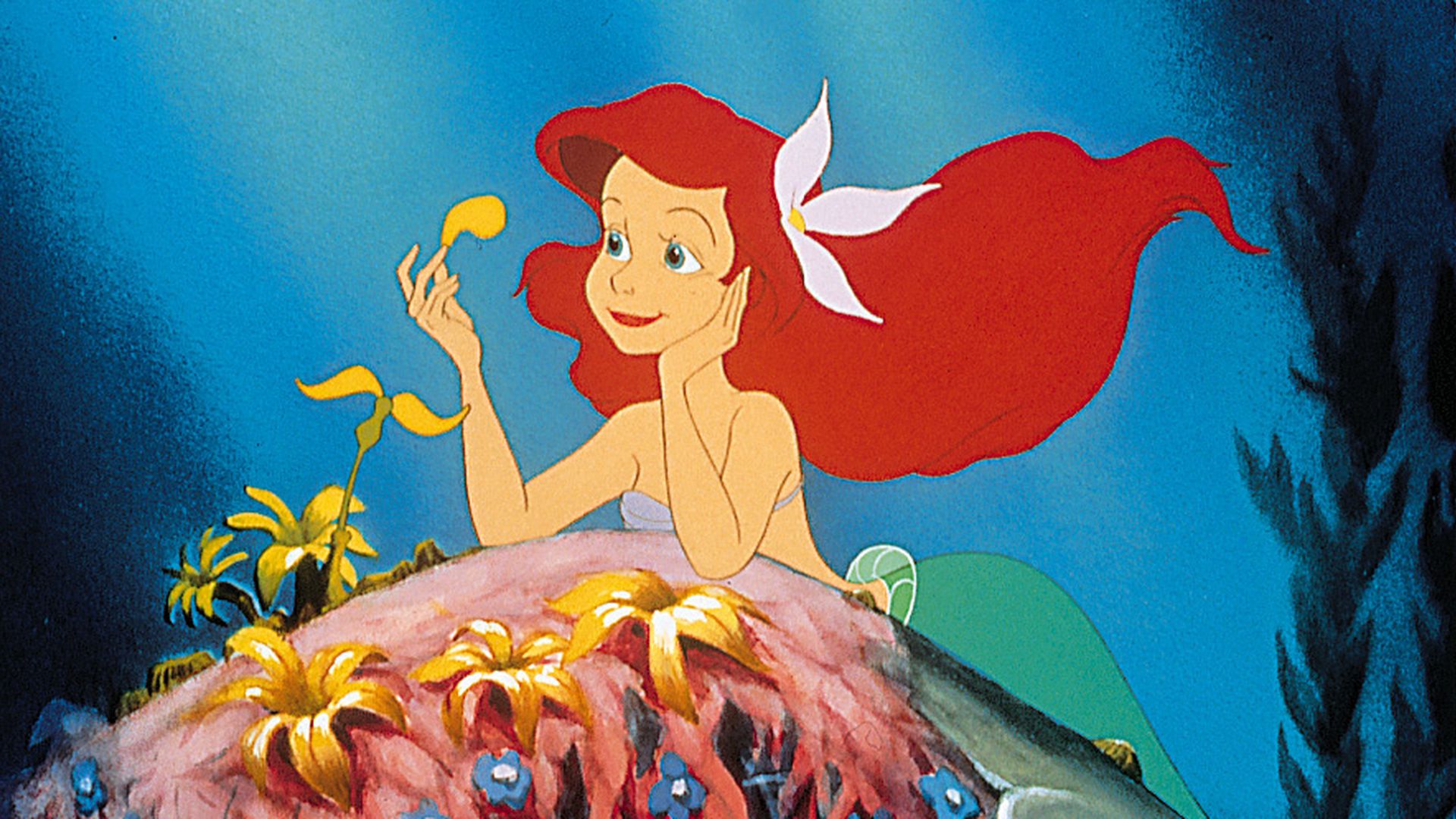 Arielle, die Meerjungfrau | Promiflash