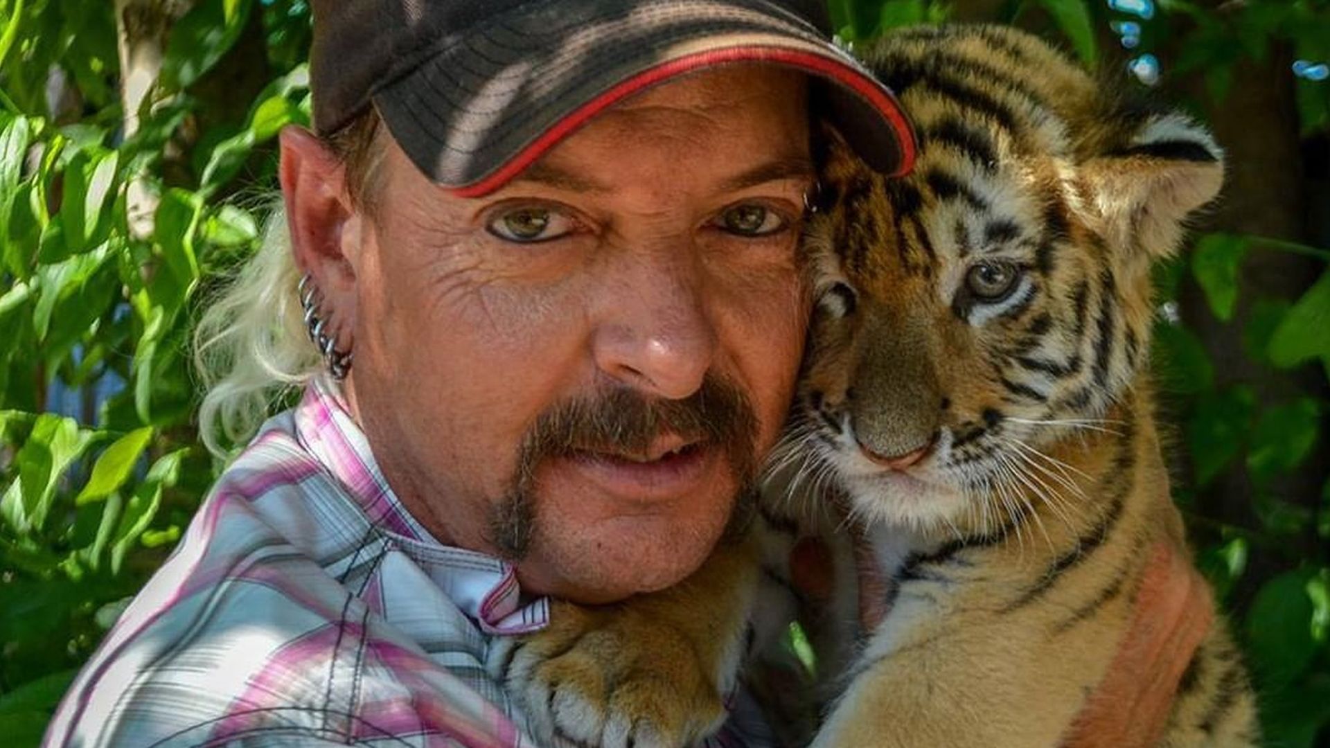 Die NetflixSerie "Tiger King" ruinierte Joe Exotics Leben!