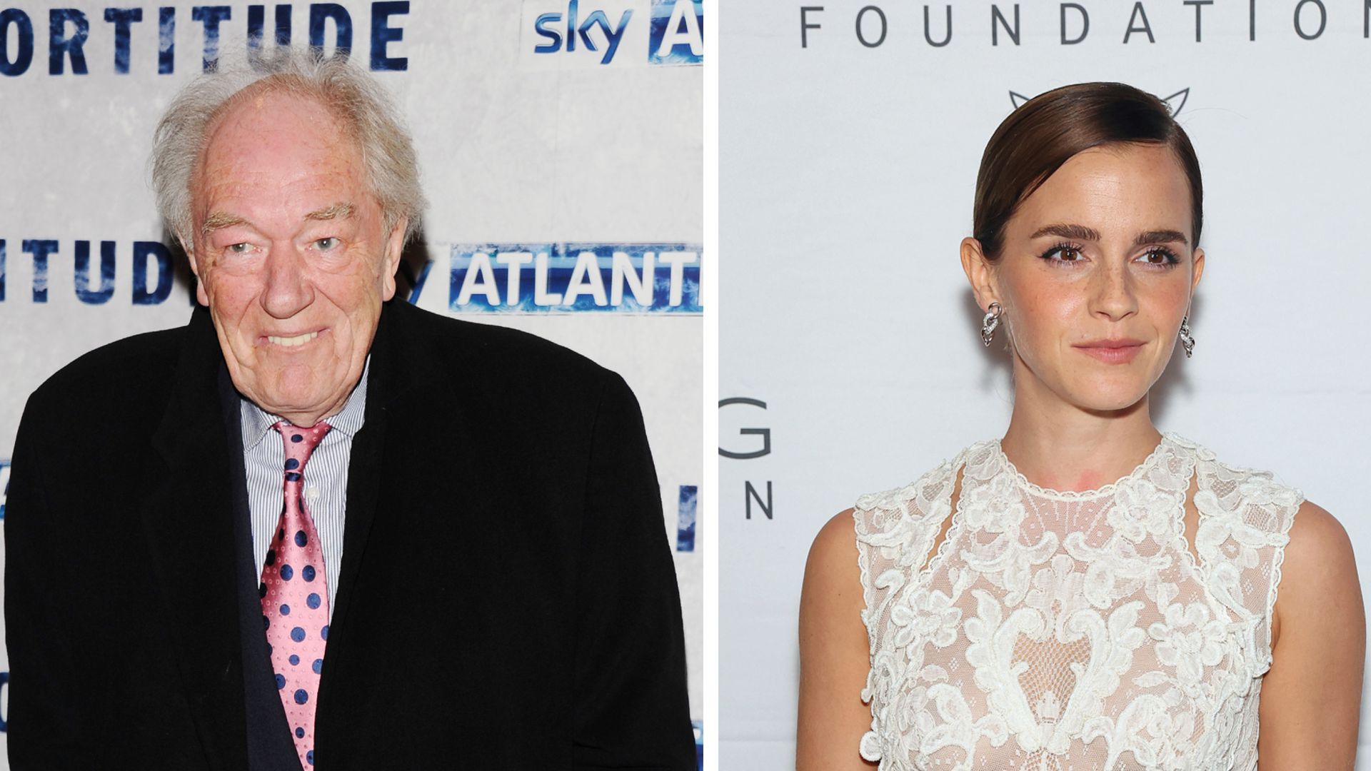 Filme Und Serien Von Michael Gambon Nach Tod von Michael Gambon: Emma Watson verabschiedet sich