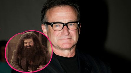 Hagrid in "Harry Potter": Robin Williams wollte die Rolle