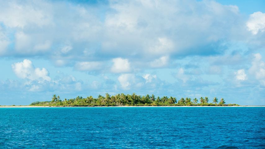Die Insel der Kuppelshow "Adam sucht Eva"