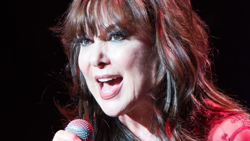 Ann Wilson bei einem Konzert in Inglewood