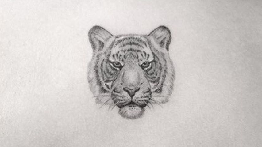 Das neue Tiger-Tattoo von Ariel Winter