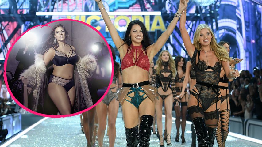 Curvy-Models bei GNTM & VS? Die Promis finden's megageil!