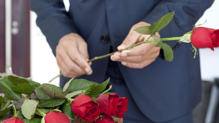 Der Bachelor