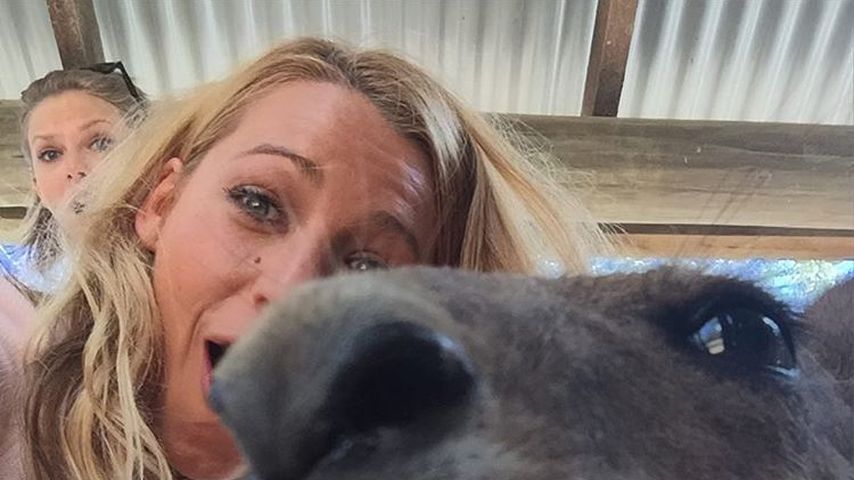 Känguru-Selfie mit Taylor Swift (hinten) und Blake Lively in Australien