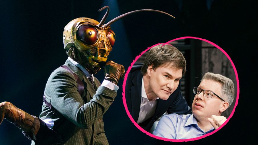 "Masked Singer"-Livepanne: Maschmeyer mit Thelen verwechselt