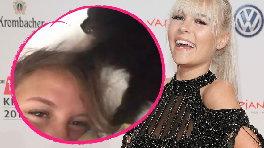YouTube-Dagi: Hier wird sie frisiert – von ihrer Hündin!