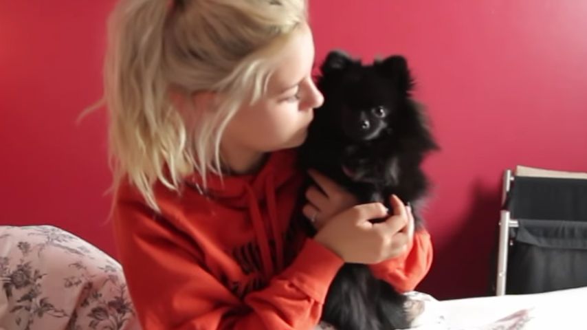 Dagi Bee und Welpe Zula im Bett