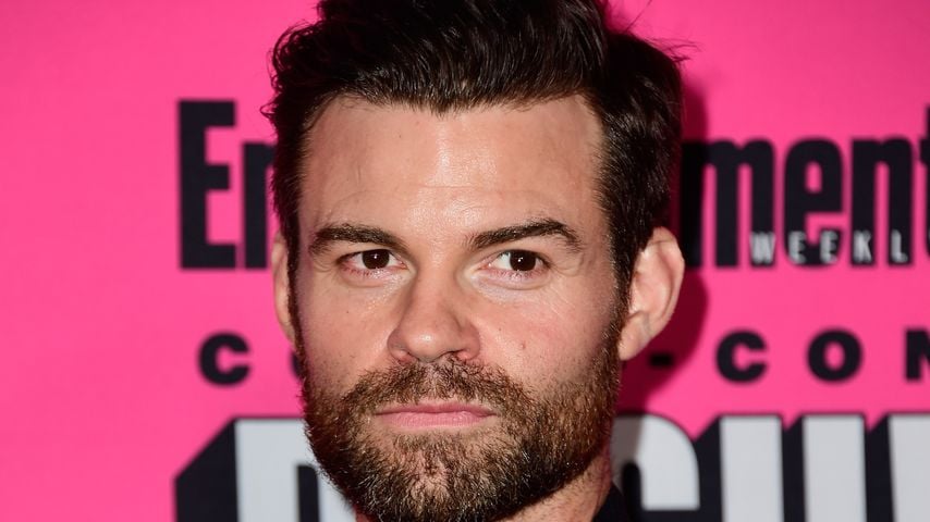 Daniel Gillies spielt Elijah Mikaelson bei "The Originals"