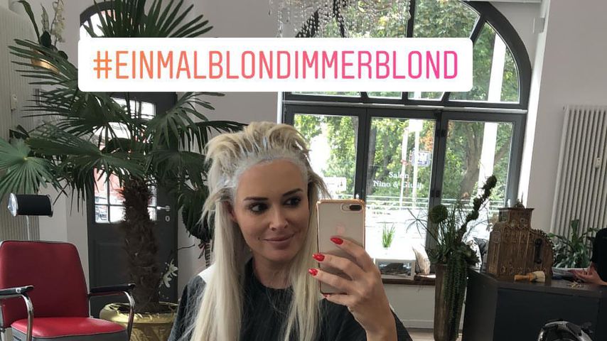 "Einmal blond, immer blond": Doch kein neuer Look für Dani!