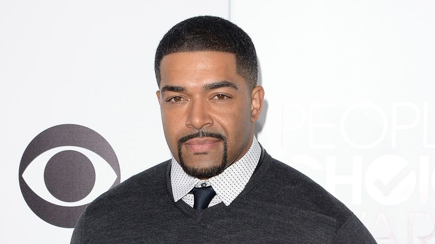 David Otunga, Wrestler