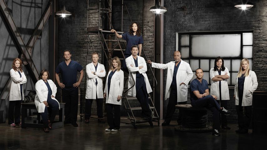 Der "Grey's Anatomy"-Cast