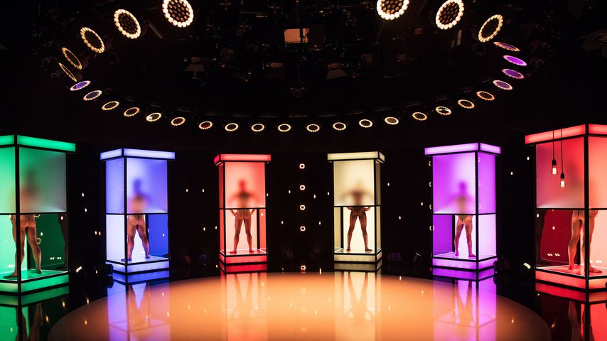 Die Kandidaten von "Naked Attraction – Dating hautnah" in ihren Boxen