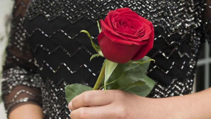 Die Bachelorette, TV-Show