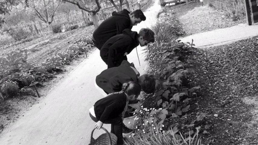 David Beckham, Brooklyn Beckham, Romeo Beckham, Harper Seven Beckham und Cruz Beckham