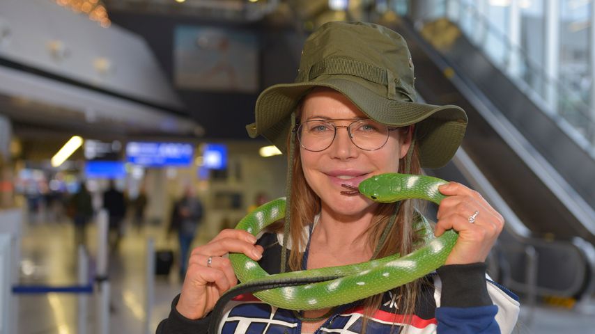 Doreen Dietel will die Dschungel-Krone für Sohn und Playboy!