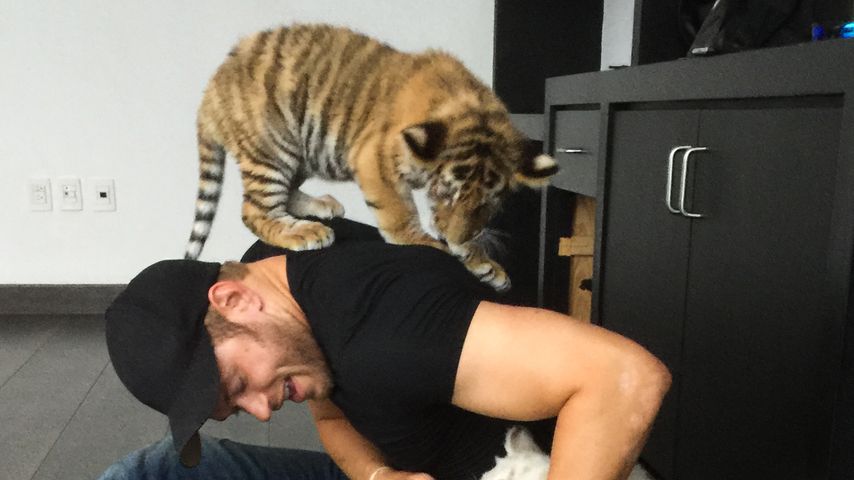 Kellan Lutz