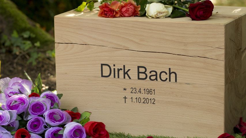 Dirk Bach