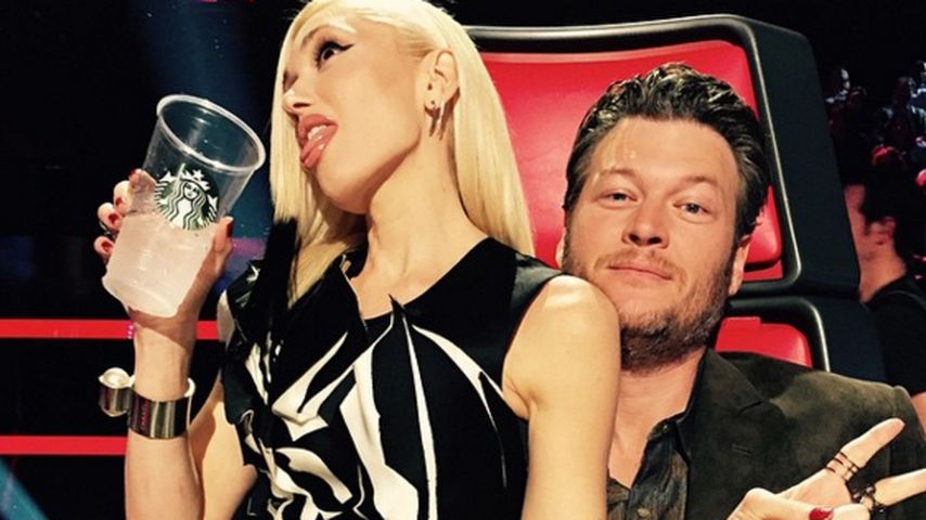 Gwen Stefani und Blake Shelton im "The Voice"-Studio