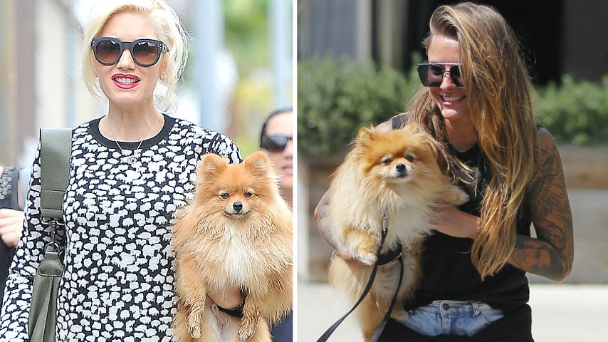 Frauen-Date: Traf sich Gwen Stefani mit Sophia Thomalla?
