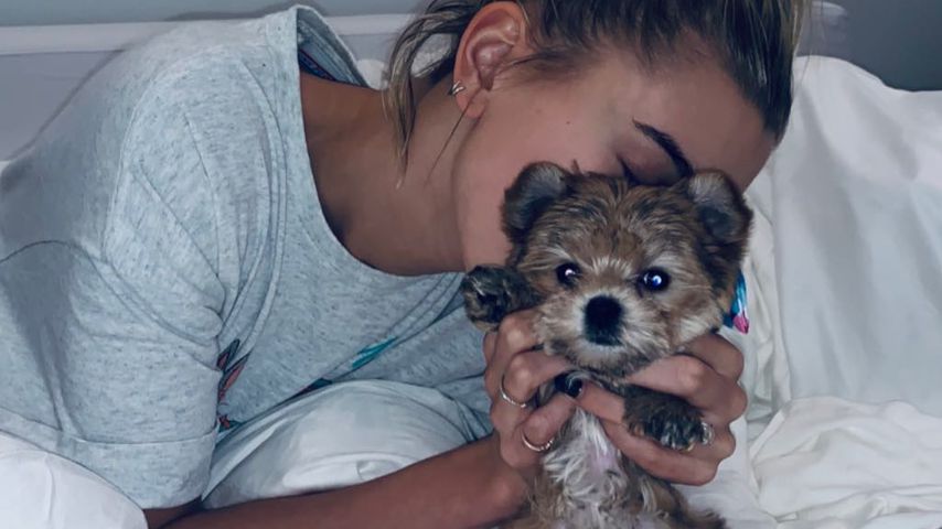 Erstes Bieber-Baby: Justin & Hailey sind stolze Hunde-Eltern