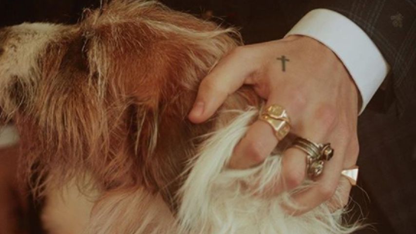 Harry Styles beim Gucci-Shooting