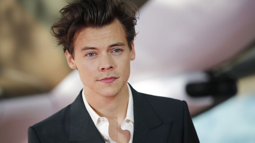 Harry Styles, Sänger und Schauspieler