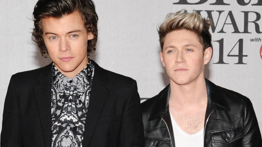 Harry Styles und Niall Horan