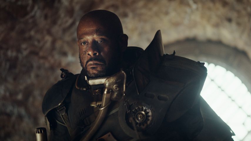 Oscar-Preisträger Forest Whitaker