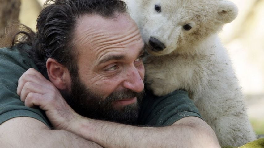 Knut
