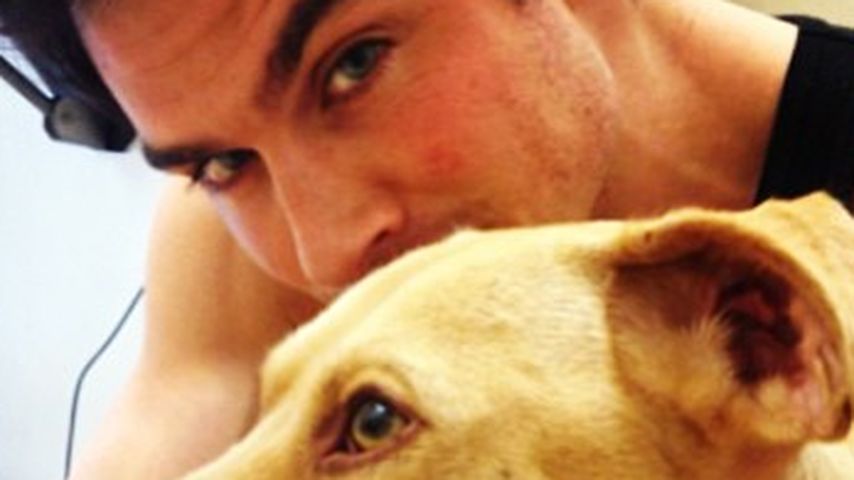 Ian Somerhalder