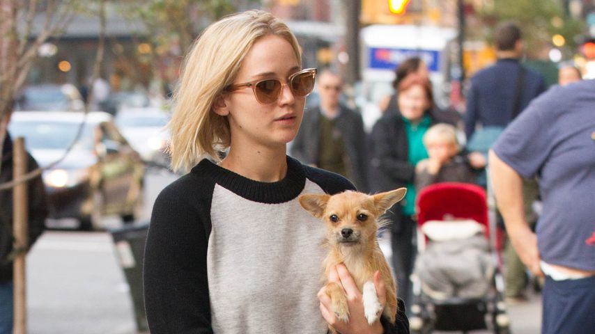 Jennifer Lawrence mit ihrem Hund Pippi in New York