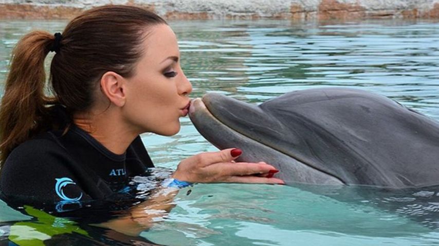 Jordan Carver