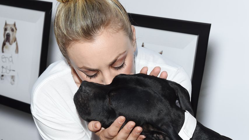 Kaley Cuoco beim Event Stand Up For Pits in Los Angeles