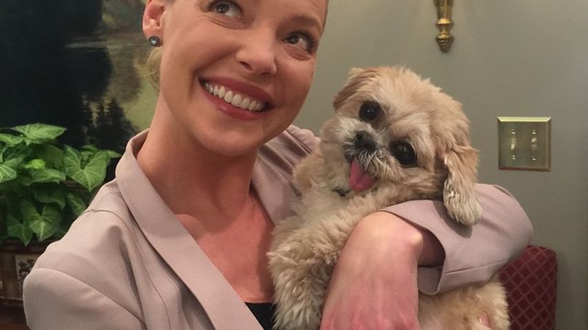 Katherine Heigl und Marnie The Dog