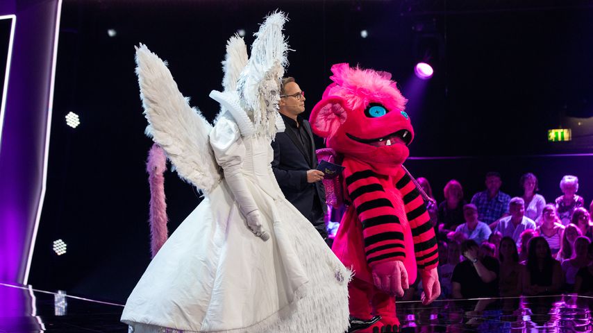 "The Masked Singer": Diese Promis liegen im Rate-Voting vorn