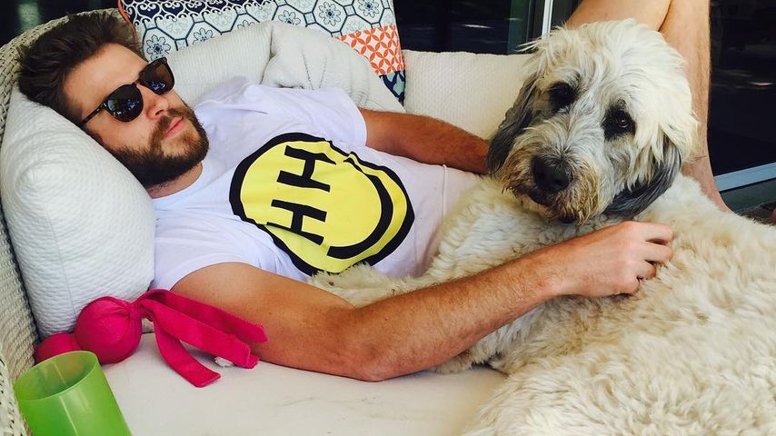Liam Hemsworth, Schauspieler