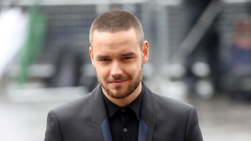 Liam Payne, Sänger