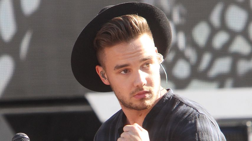 Liam Payne, Sänger