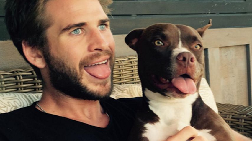 Liam Hemsworth