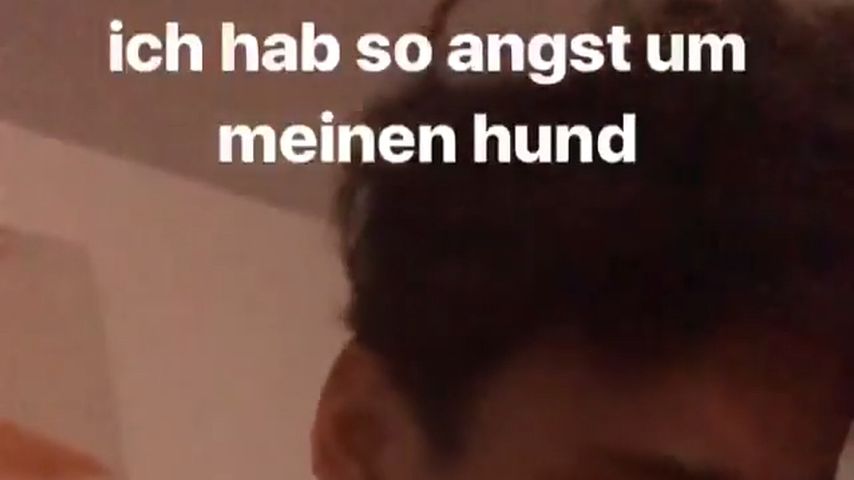 LionT, YouTube-Star