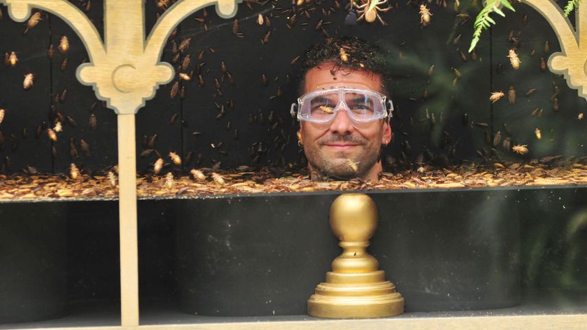 Marc Terenzi bei der Dschungelprüfung