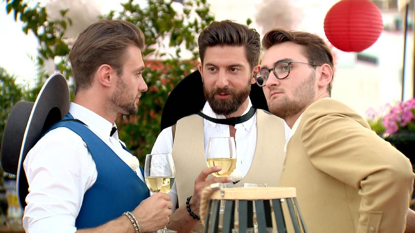 Michi, Sebastian und Lukasz, Bachelorette-Kandidaten